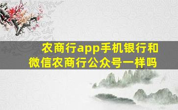 农商行app手机银行和微信农商行公众号一样吗