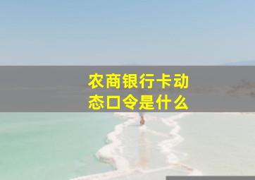 农商银行卡动态口令是什么