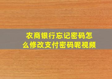 农商银行忘记密码怎么修改支付密码呢视频