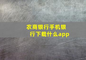 农商银行手机银行下载什么app