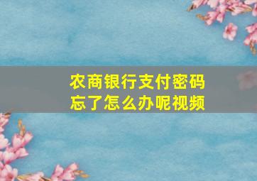 农商银行支付密码忘了怎么办呢视频