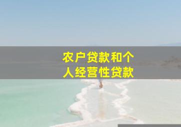 农户贷款和个人经营性贷款