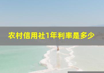 农村信用社1年利率是多少