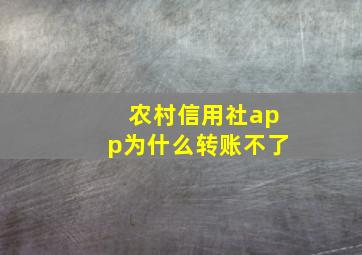 农村信用社app为什么转账不了