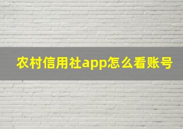 农村信用社app怎么看账号