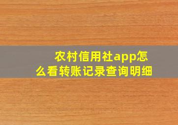 农村信用社app怎么看转账记录查询明细