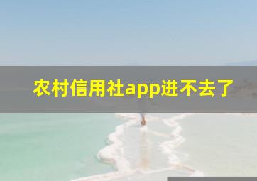 农村信用社app进不去了