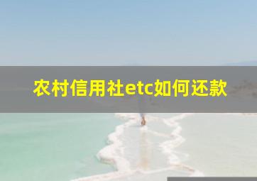 农村信用社etc如何还款