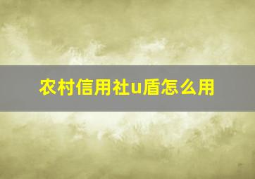 农村信用社u盾怎么用