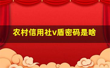 农村信用社v盾密码是啥