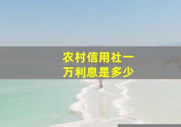 农村信用社一万利息是多少