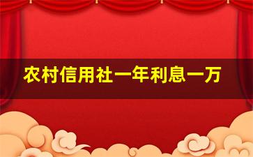 农村信用社一年利息一万