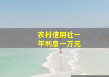 农村信用社一年利息一万元