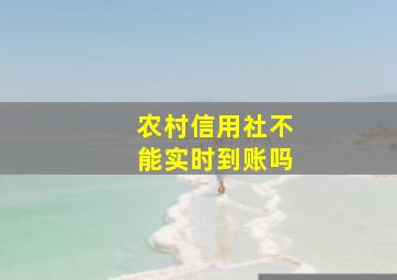 农村信用社不能实时到账吗