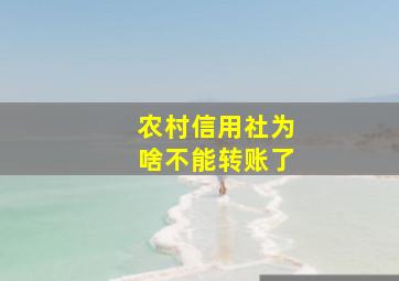 农村信用社为啥不能转账了