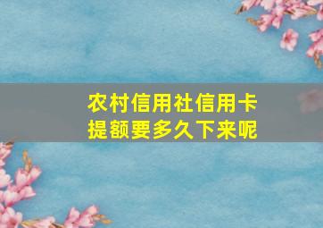 农村信用社信用卡提额要多久下来呢