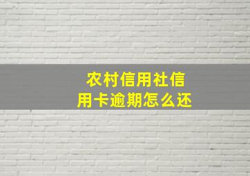 农村信用社信用卡逾期怎么还