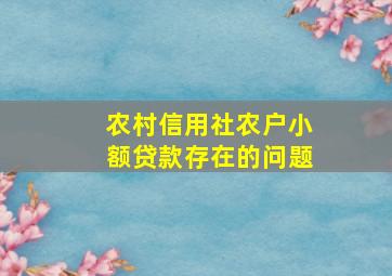 农村信用社农户小额贷款存在的问题