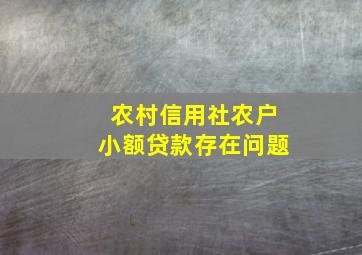 农村信用社农户小额贷款存在问题