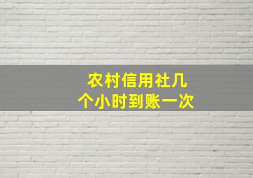 农村信用社几个小时到账一次