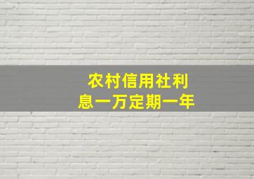 农村信用社利息一万定期一年