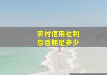 农村信用社利息活期是多少