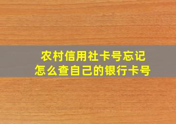 农村信用社卡号忘记怎么查自己的银行卡号