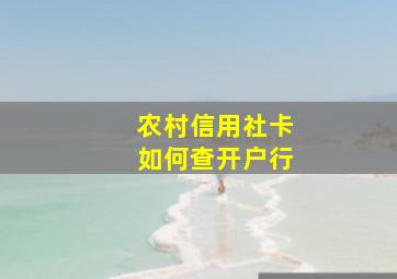 农村信用社卡如何查开户行