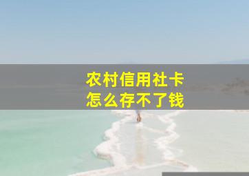 农村信用社卡怎么存不了钱