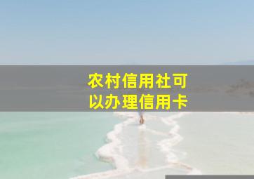 农村信用社可以办理信用卡