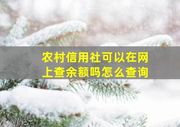 农村信用社可以在网上查余额吗怎么查询