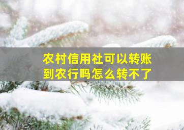 农村信用社可以转账到农行吗怎么转不了