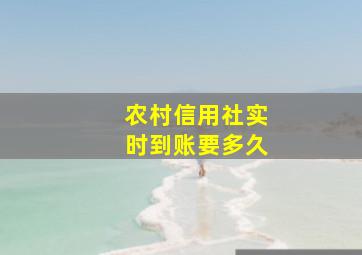 农村信用社实时到账要多久