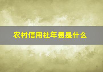 农村信用社年费是什么