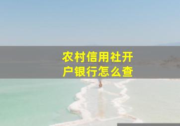 农村信用社开户银行怎么查