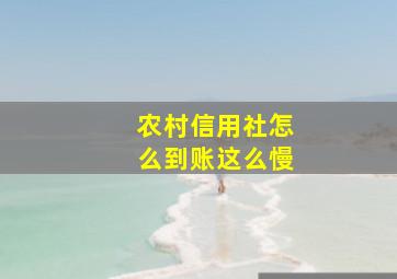 农村信用社怎么到账这么慢