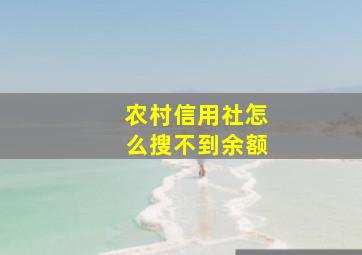 农村信用社怎么搜不到余额