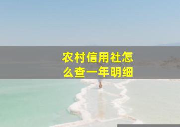 农村信用社怎么查一年明细