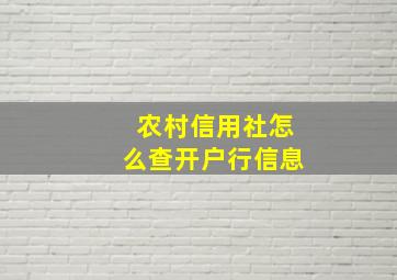 农村信用社怎么查开户行信息