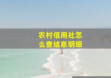 农村信用社怎么查结息明细