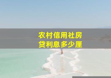 农村信用社房贷利息多少厘