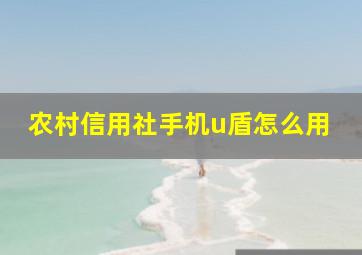 农村信用社手机u盾怎么用