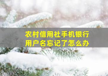 农村信用社手机银行用户名忘记了怎么办