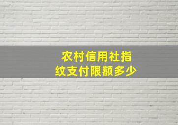 农村信用社指纹支付限额多少