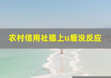 农村信用社插上u盾没反应