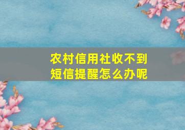 农村信用社收不到短信提醒怎么办呢