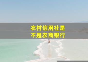 农村信用社是不是农商银行