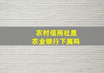 农村信用社是农业银行下属吗