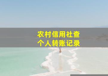 农村信用社查个人转账记录