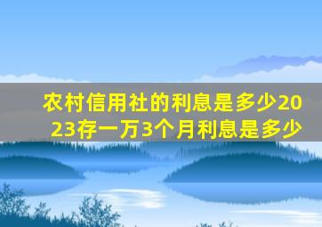 农村信用社的利息是多少2023存一万3个月利息是多少